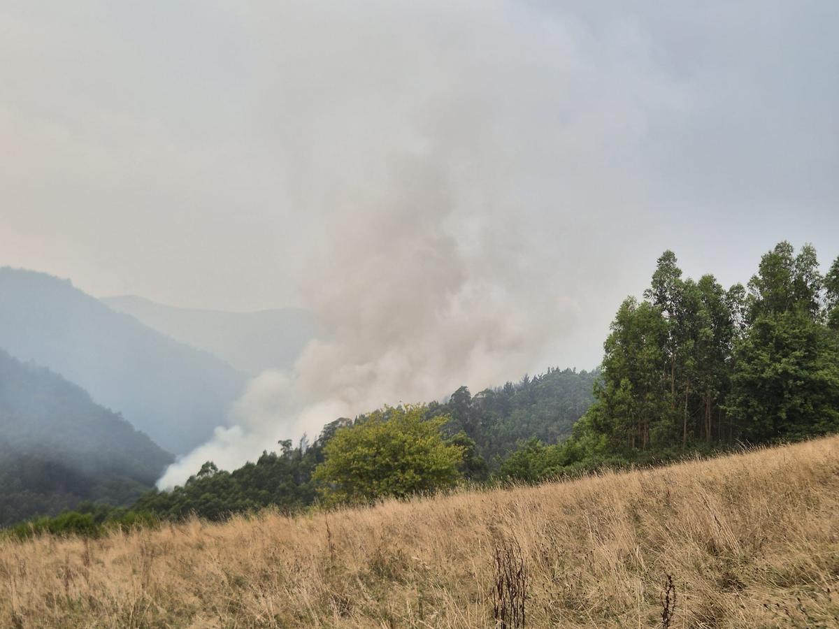 Imagen del incendio en Pumar (Salas).