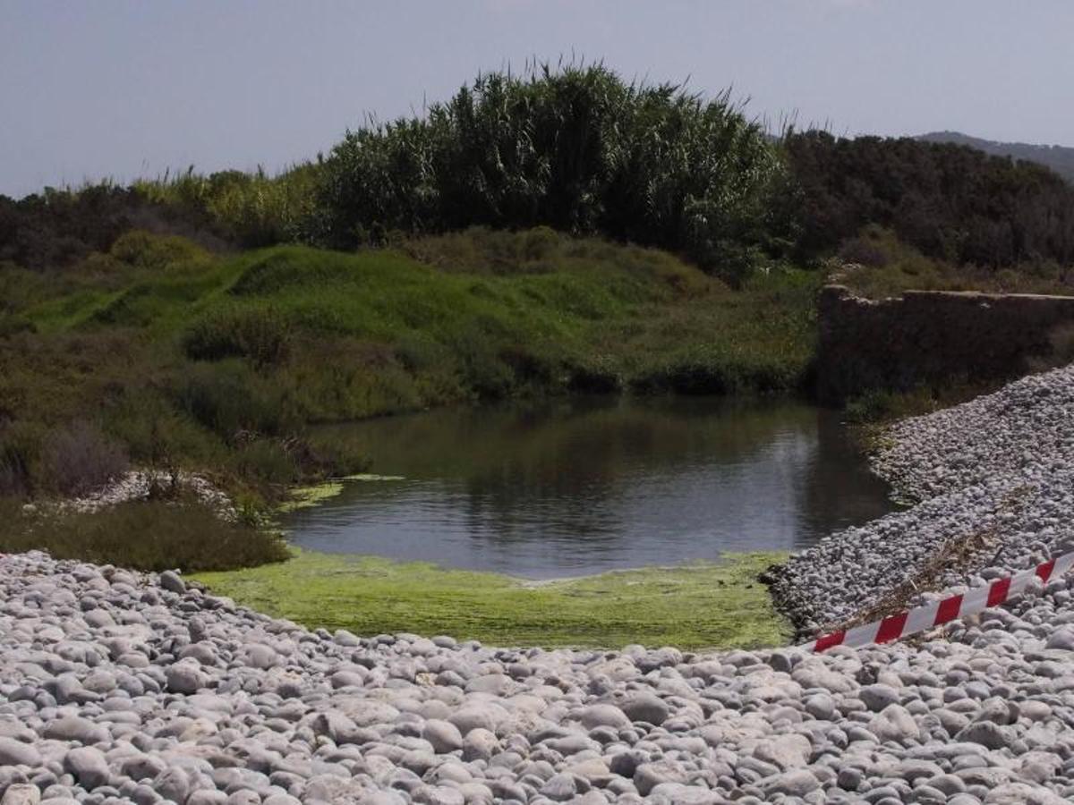 Vertidos de aguas fecales en el Parque Natural de ses Salines