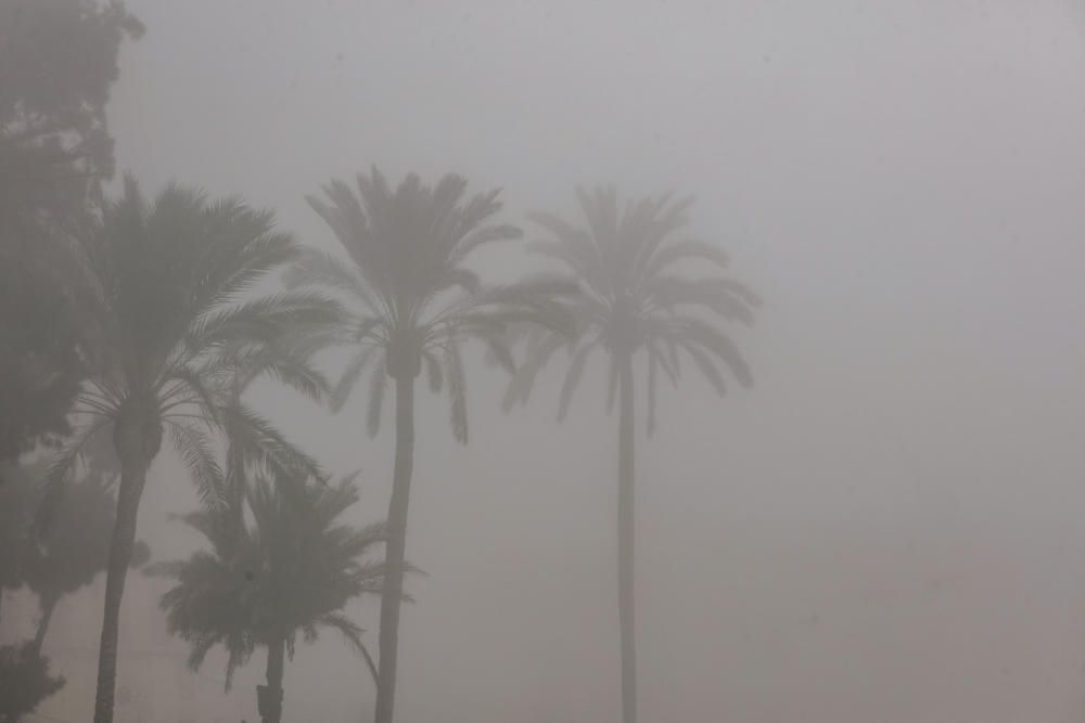 La niebla cubre Mallorca y no se irá hasta mañana