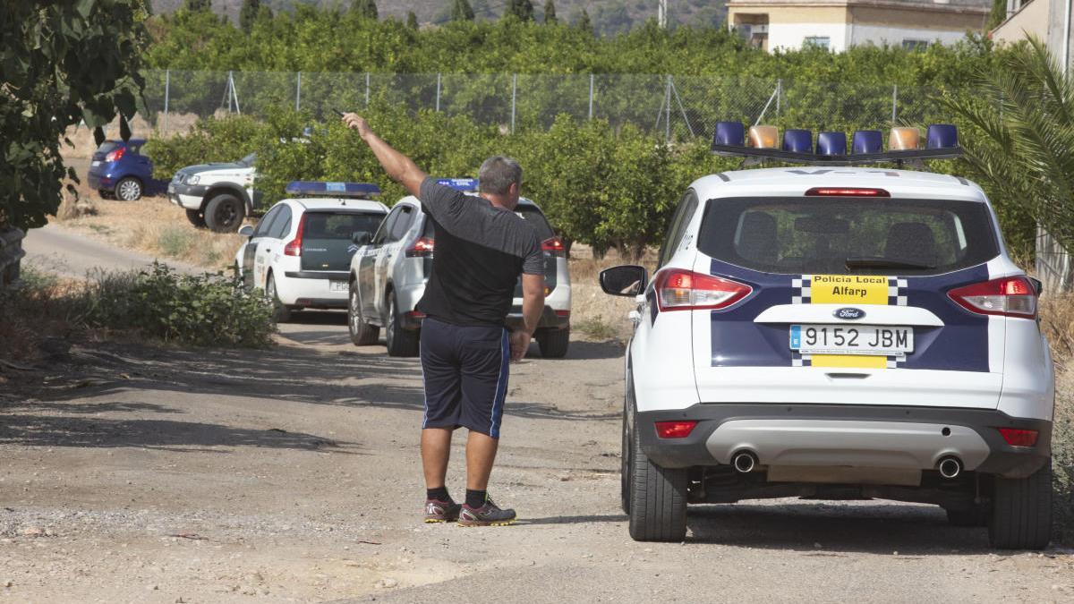 Capturan a los dos toros de Alfarp con ayuda de un helicóptero tras tres días y medio de fuga