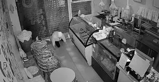 La Policía Nacional detiene a dos hombres por el robo en once comercios del centro de Elche