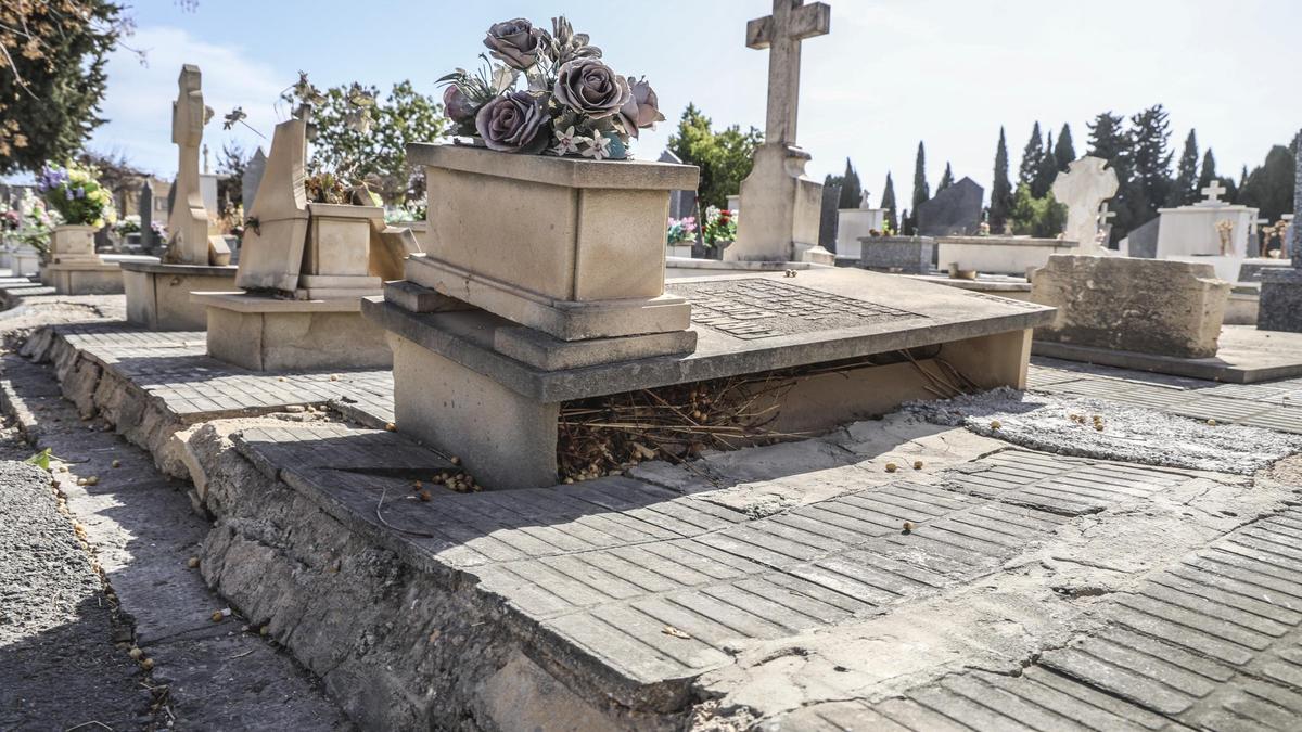 Denuncia robos en la tumba de su padre y mal estado del cementerio de Alicante