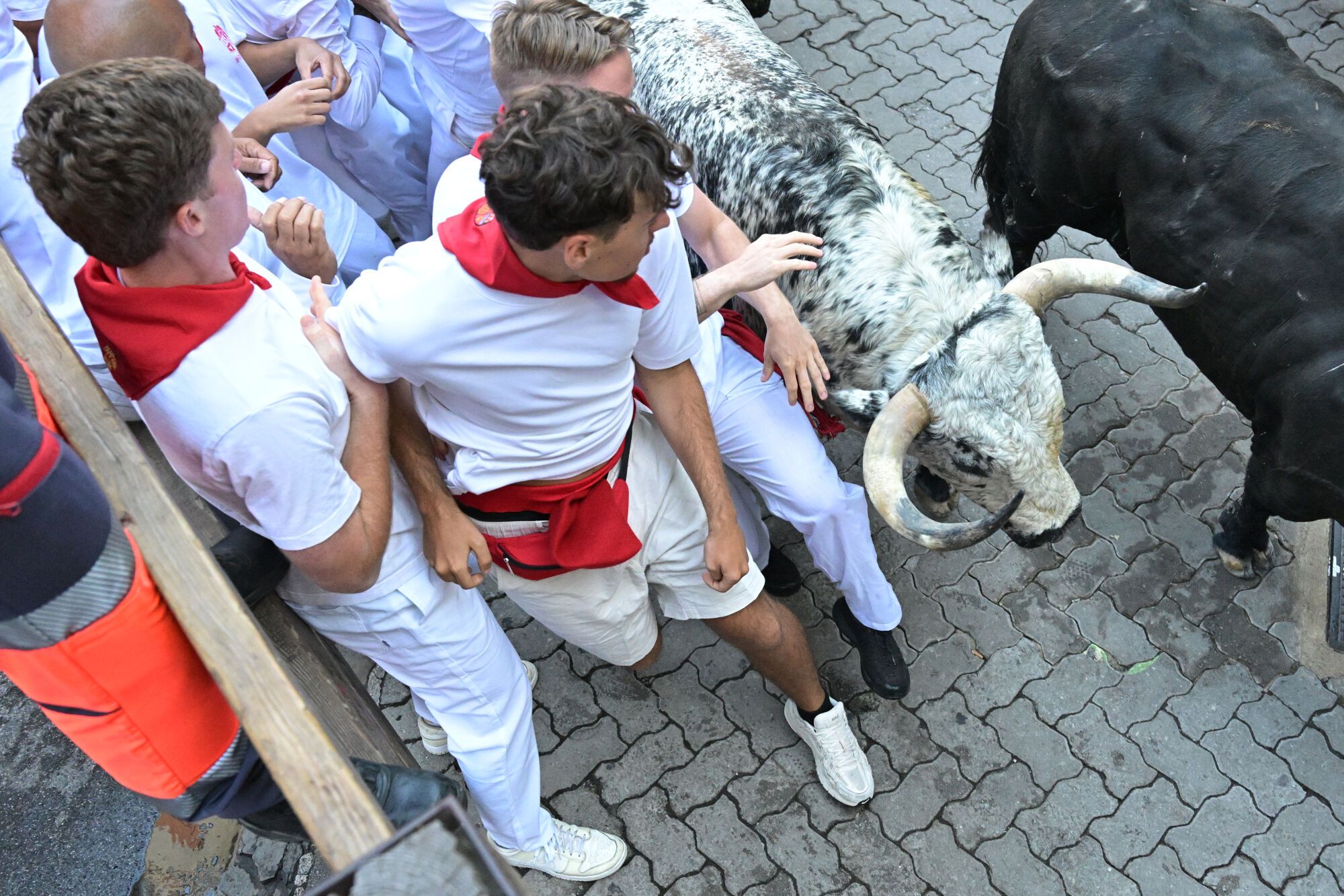 PAMPLONA, 07/07/2025.- Los mozos son perseguidos por toros de la ganadería Cebada Gago, durante el segundo encierro de los Sanfermines 2025, este martes en Pamplona. EFE/ Daniel Fernández