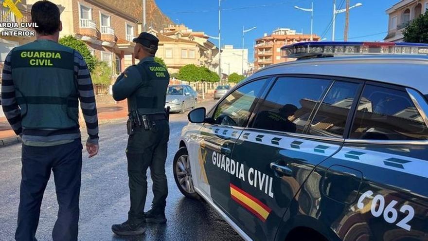 La Guardia Civil detiene a 12 personas por robar 3.500 kilos de aguacates en el norte de Tenerife