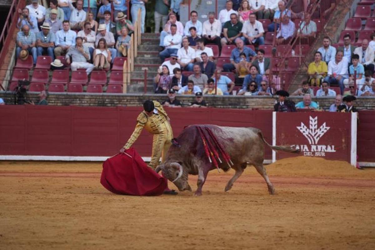 Tercer festejo taurino de la Feria de Córdoba, en imágenes