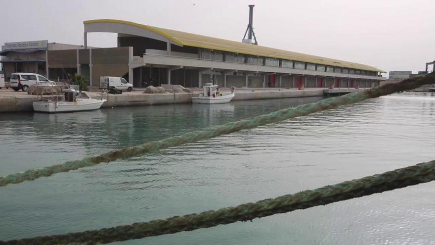 Alicante volverá a vender pescado fresco en el Puerto