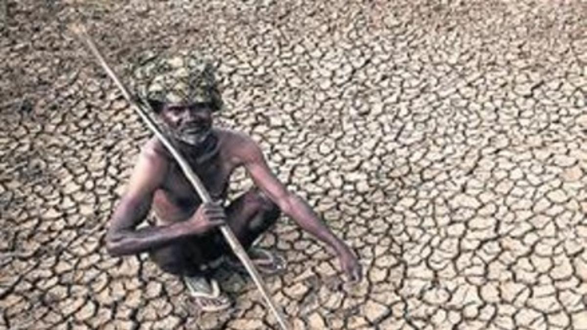 Sequía 8 Un granjero en sus sedientas tierras en Gauribidamur.
