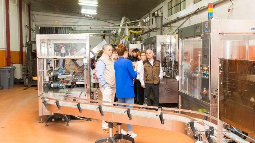 Imágenes de una jornada de puertas abiertas en la bodega de la cooperativa.