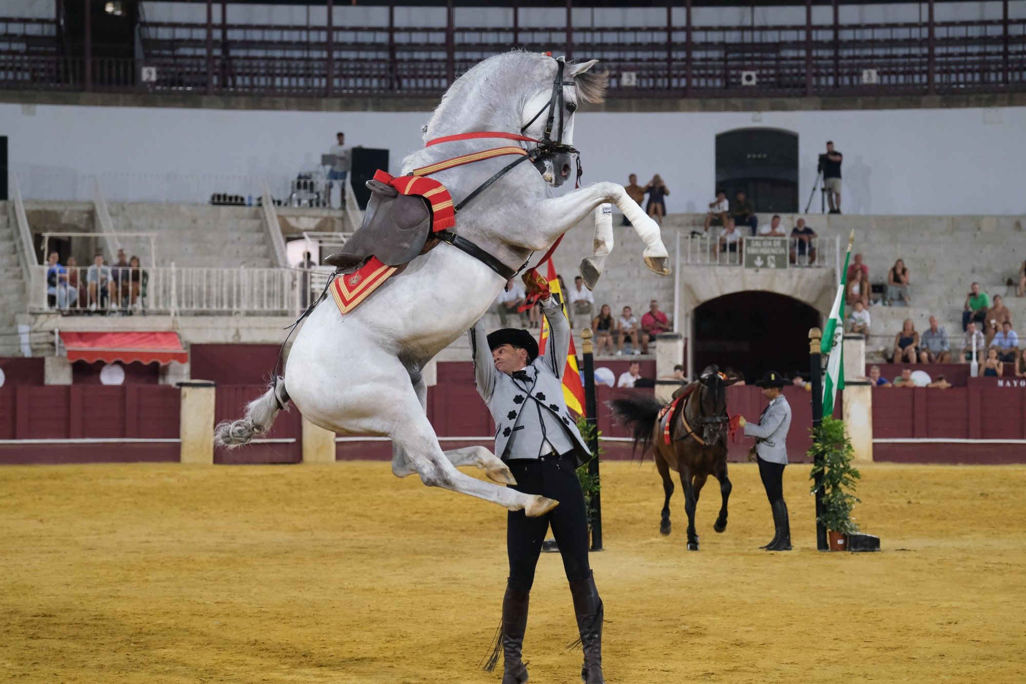Los caballos andaluces bailan sobre el albero de La Malagueta