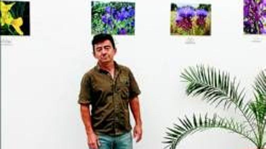 Toda la flora de Mérida, en una exposición