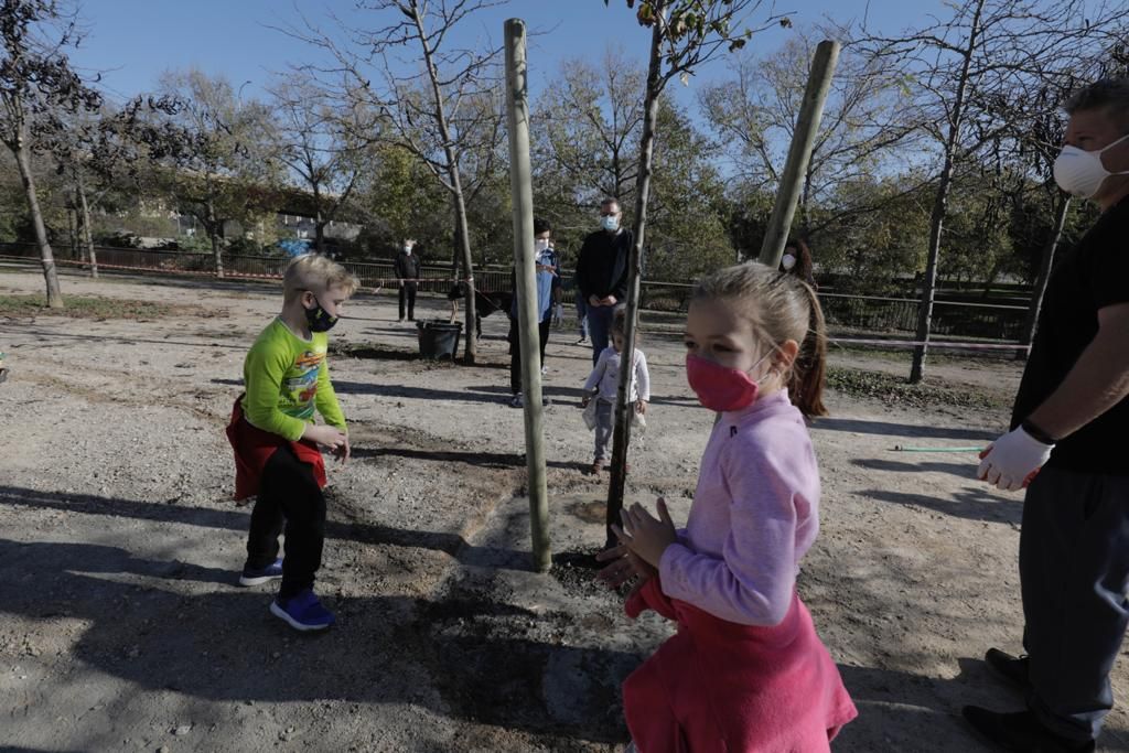 Siembra de árboles en el parque de sa Riera de Palma