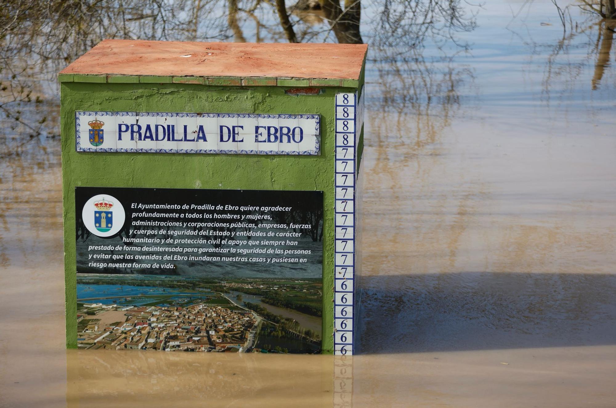 En imágenes | Así transcurre la crecida del Ebro a su paso por Aragón