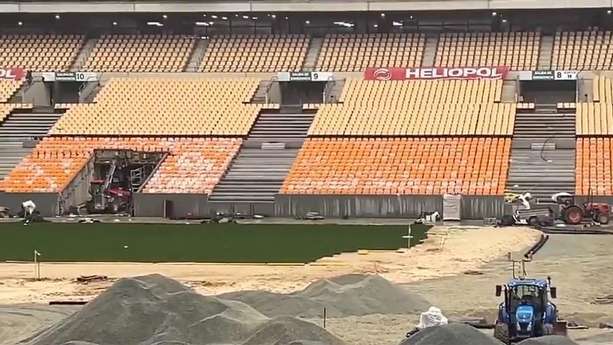 La Cartuja empieza a vestirse de verde