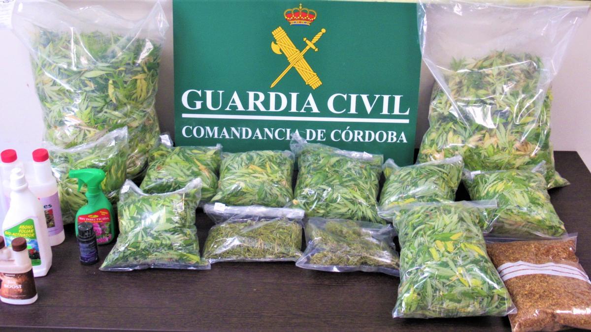 Imagen cedida por la Guardia civil de la marihuana intervenida.