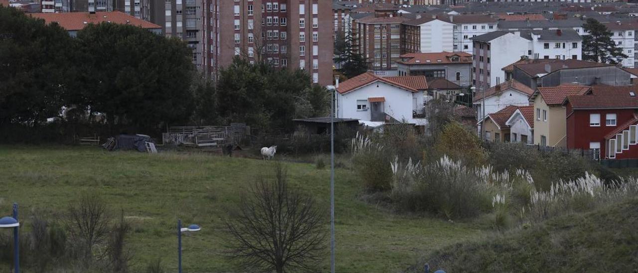 Terrenos de La Grandiella en los que se proyecta construir el nuevo centro de Formación Profesional.