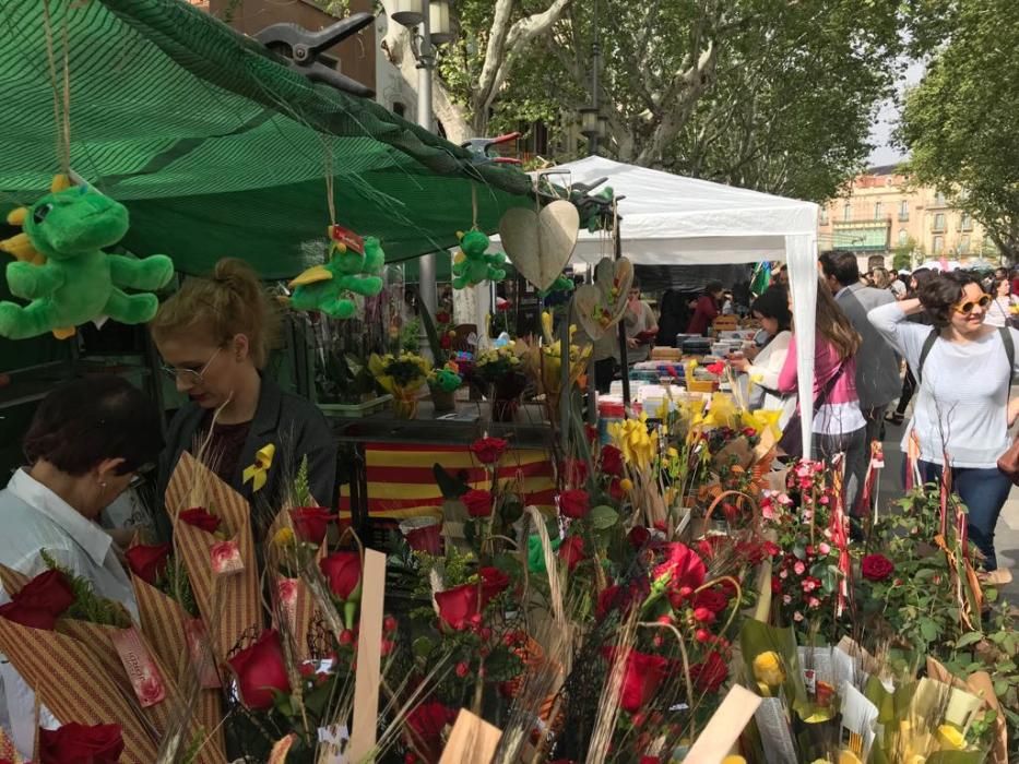 La Diada de Sant Jordi a l''Alt Empordà