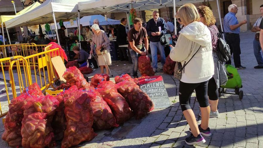 Los pimientos verdes, protagonizan el mercado del jueves