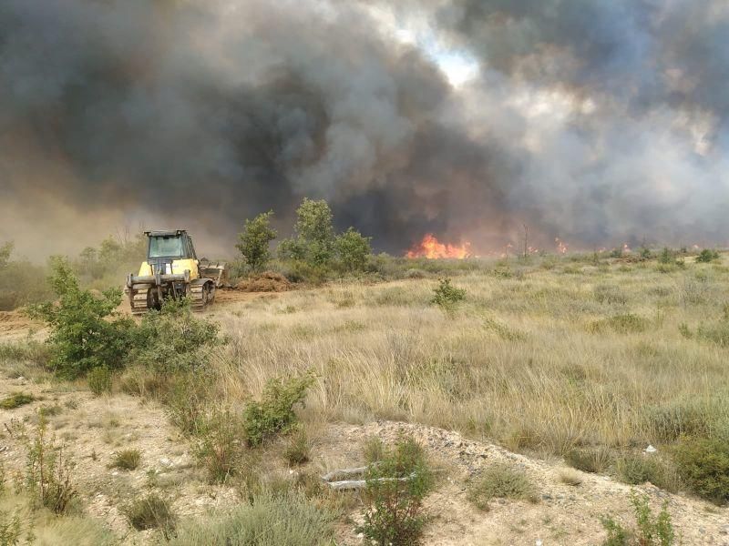 Imágenes del incendio forestal de Grisuela.