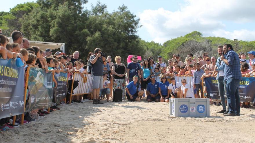 Warum Cannoli an der Cala Agulla in die Freiheit entlassen wird