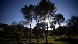 La Comunidad de Madrid pone en marcha cerca de 200 actividades medioambientales gratuitas para "mostrar la biodiversidad" y "promover su conservación"