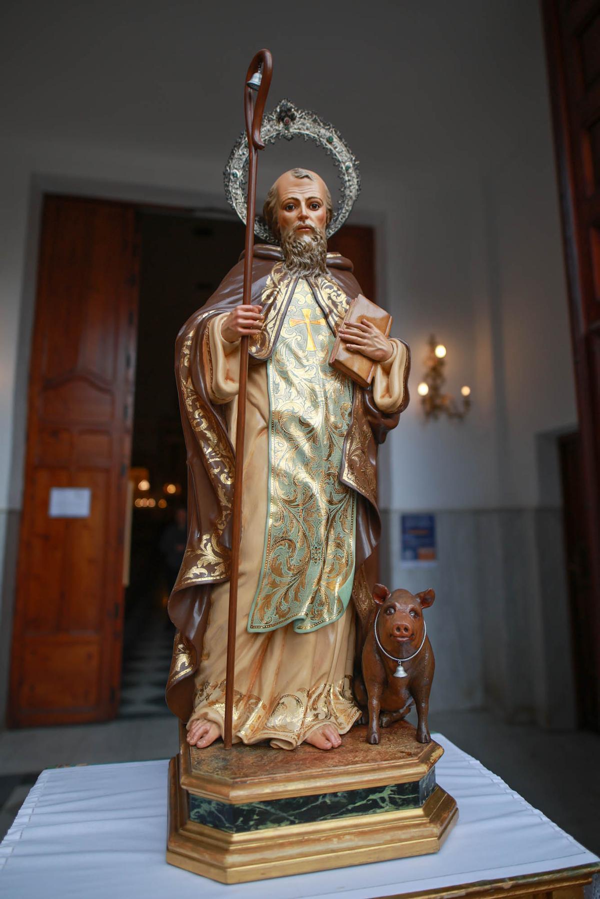 Las mejores imágenes de la bendición de animales de San Antón en Amoradí 2026 están aquí