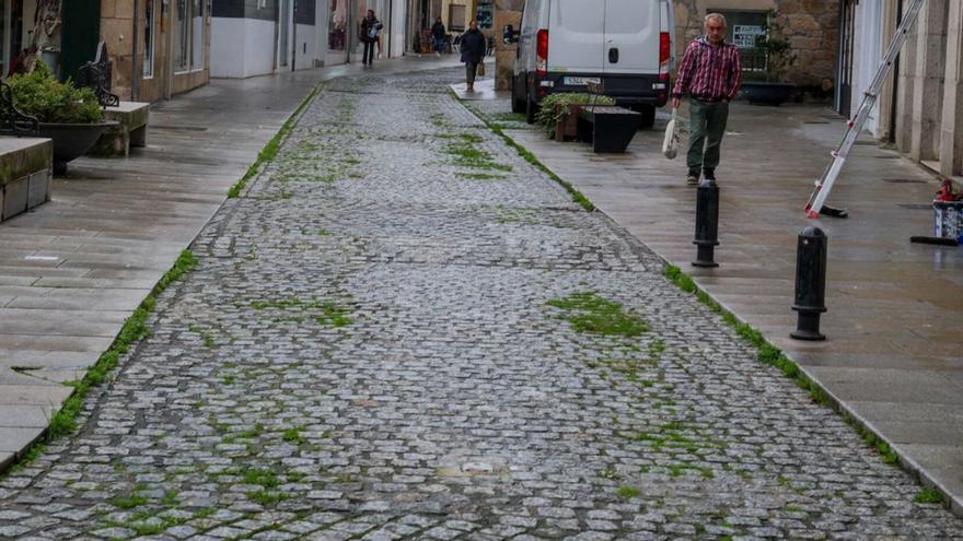 La hierba está tomando la calle Infantas de Cambados. |  Iñaki Abella