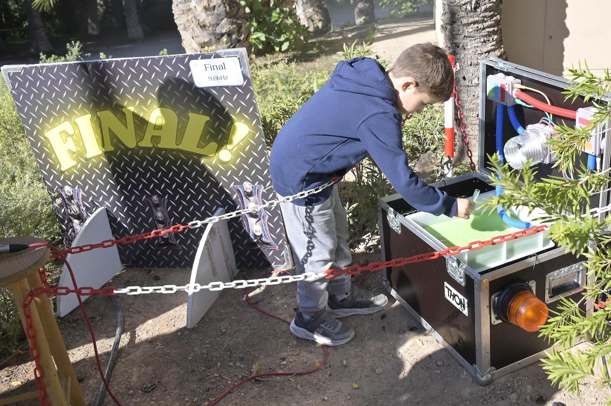 Así ha sido el scape room para reivindicar el Palmeral de Elche