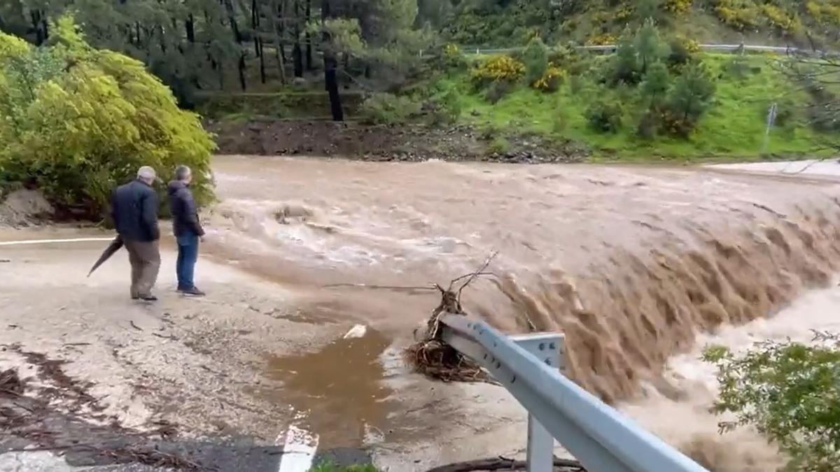 La carretera de acceso a Genalguacil, totalmente anegada por la crecida del río Almáchar.