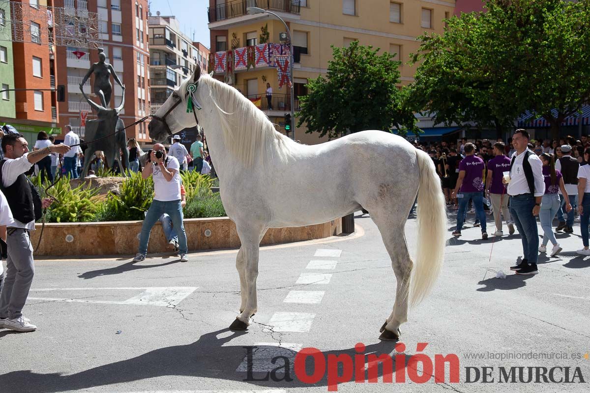 Pasacalles caballos del vino al hoyo