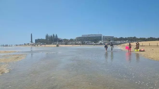 Las mareas del Pino vuelven a transformar Maspalomas en un espectáculo de luz, arena y mar