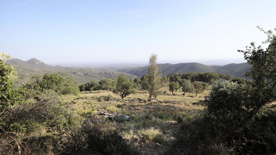 Requesens, una zona d’estudi per millorar l’estat dels boscos