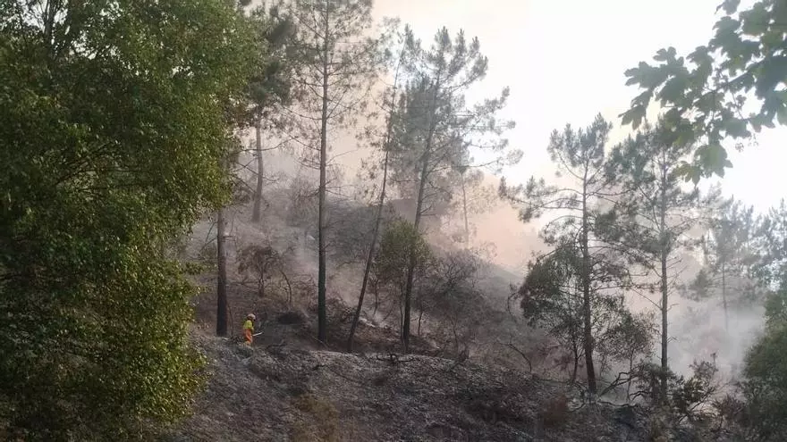 VÍDEO: Incendio forestal en Grado, en La Cabruñana