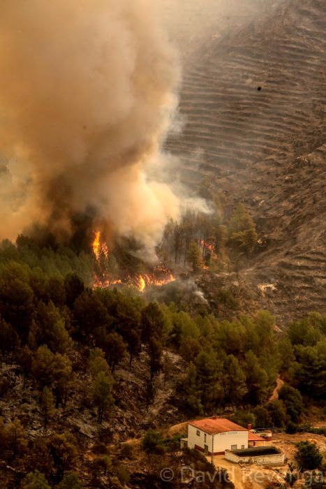 La superficie afectada abarca suelo de Bolulla, Tárbena, Callosa d´en Sarrià y Xaló