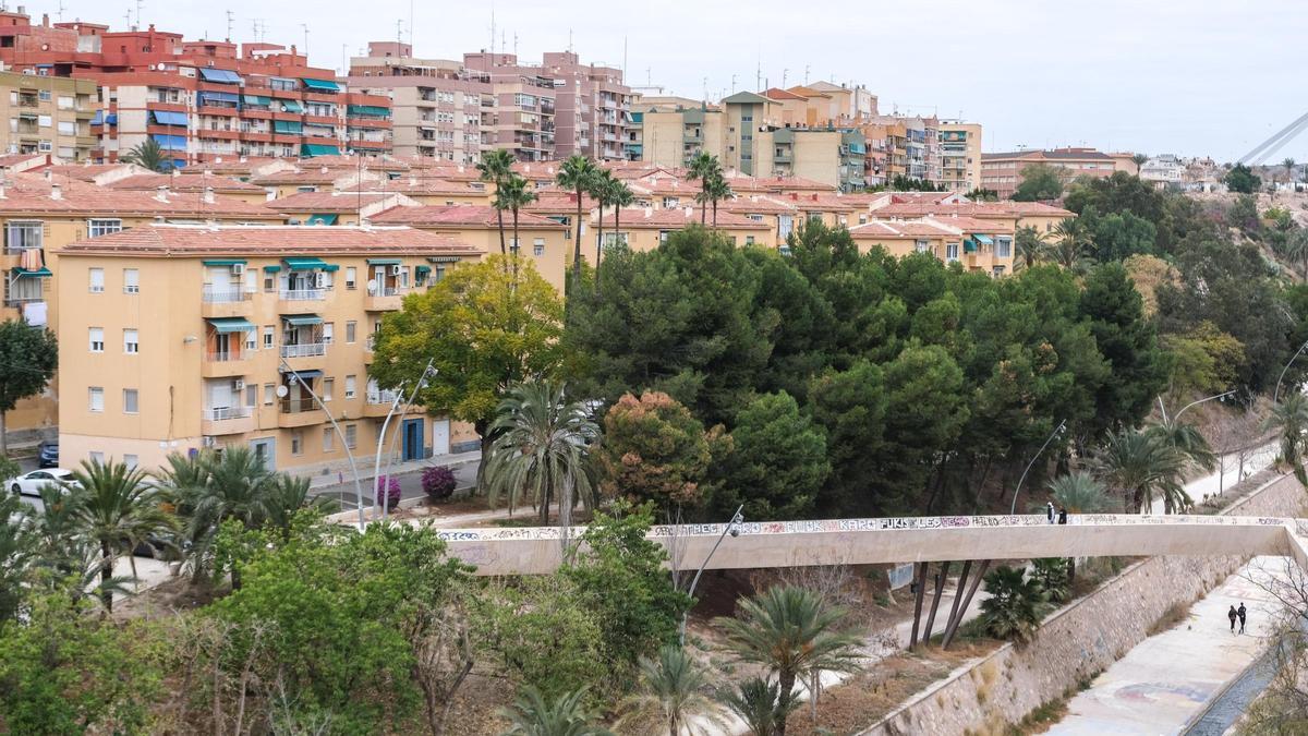 Así está el barrio Porfirio Pascual de Elche en estos momentos.