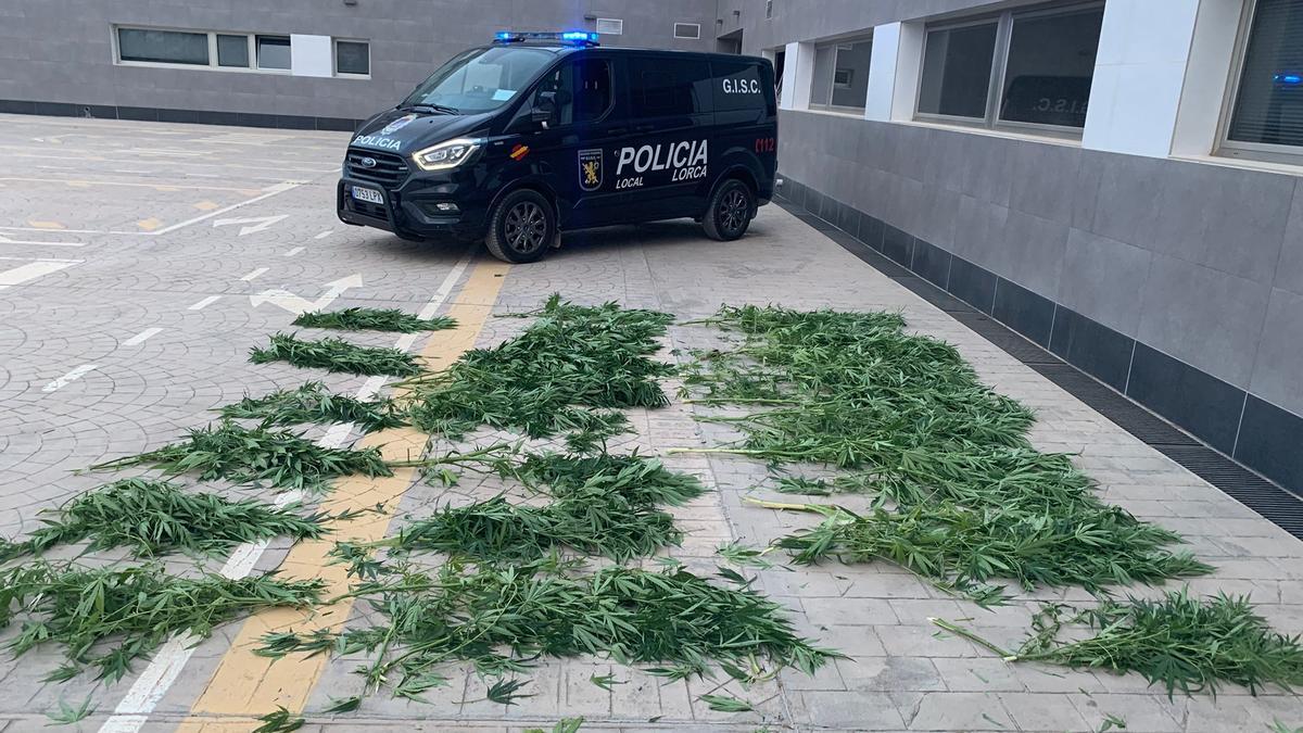 La marihuana incautada en el barrio de San Cristóbal.