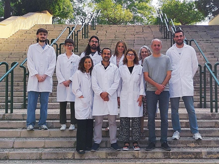 Un proyecto para predecir futuras anoxias en el Mar Menor