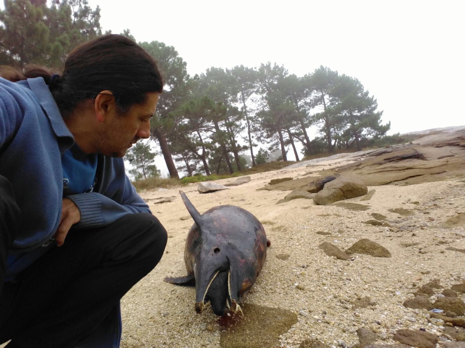 Imagen de archivo de Alfredo López, director de la Cemma, ante un cetáceo aparecido muerto en A Illa de Arousa.