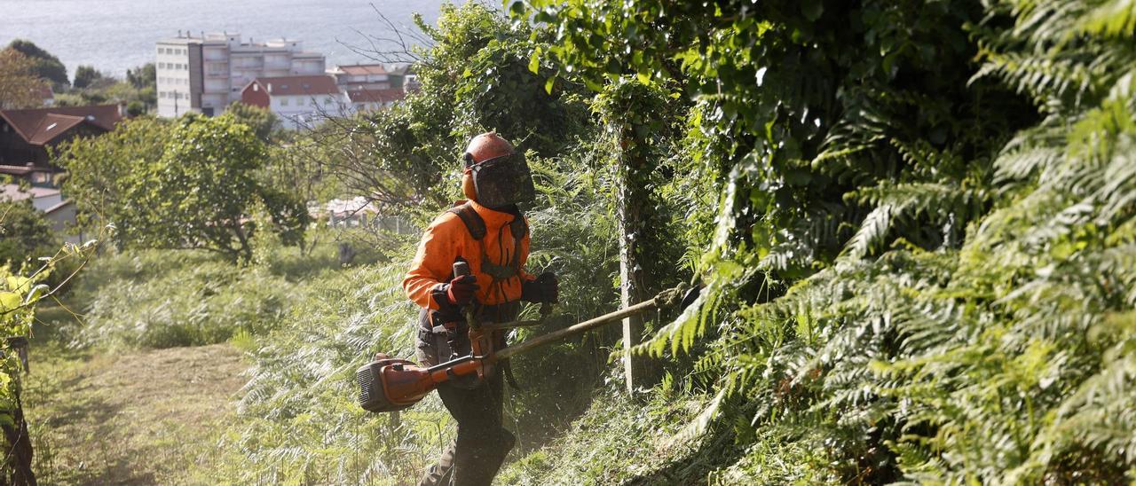 Un operario desbroza una finca en Marín.