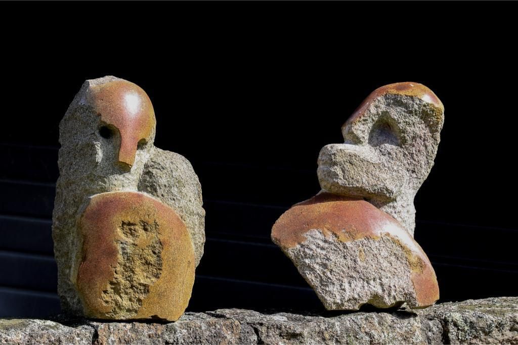 Así es el territorio de artista de Francisco Pazos