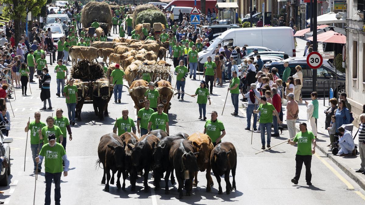 Llanera celebra por todo lo alto San Isidro