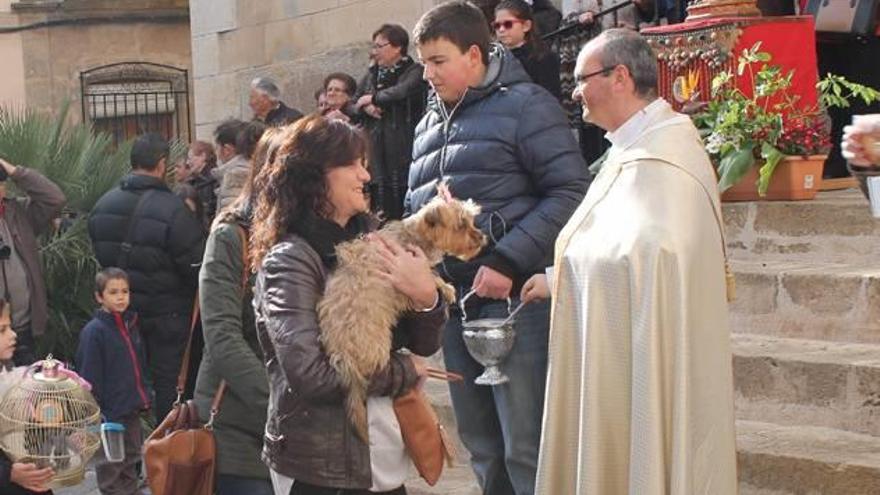 Una protectora pide a la iglesia de Teulada que acuda a bendecir a los perros de caza