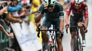El Tour arriba als Alps després d’un esprint catastròfic