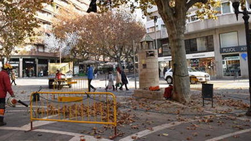 L&#039;esporga durarà tres mesos i ha començat al Paseig, entre Crist Rei i plaça Espanya