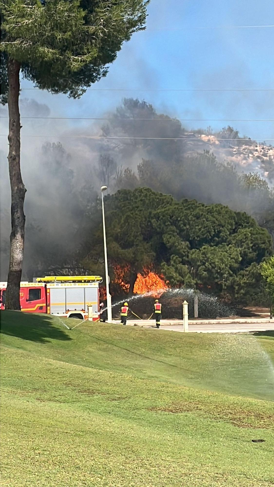 Incendio entre Las Ramblas y Campoamor en Orihuela Costa