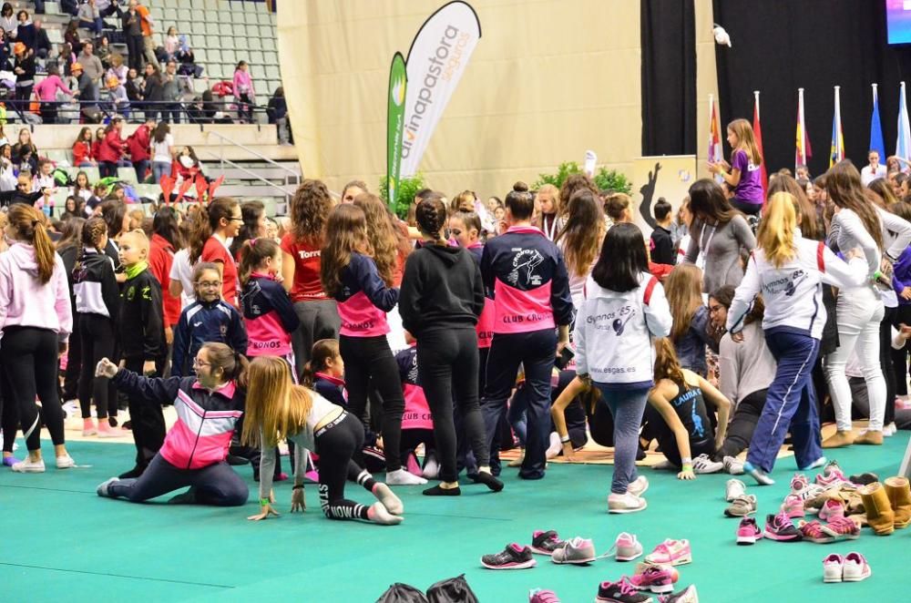 Campeonato de Gimnasia Rítmica: domingo mañana... ¡con Mannequin Challence incluido!