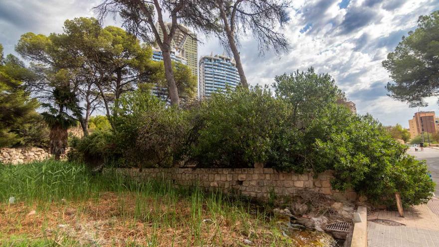 Benidorm limpia los barrancos para minimizar los efectos de las lluvias torrenciales