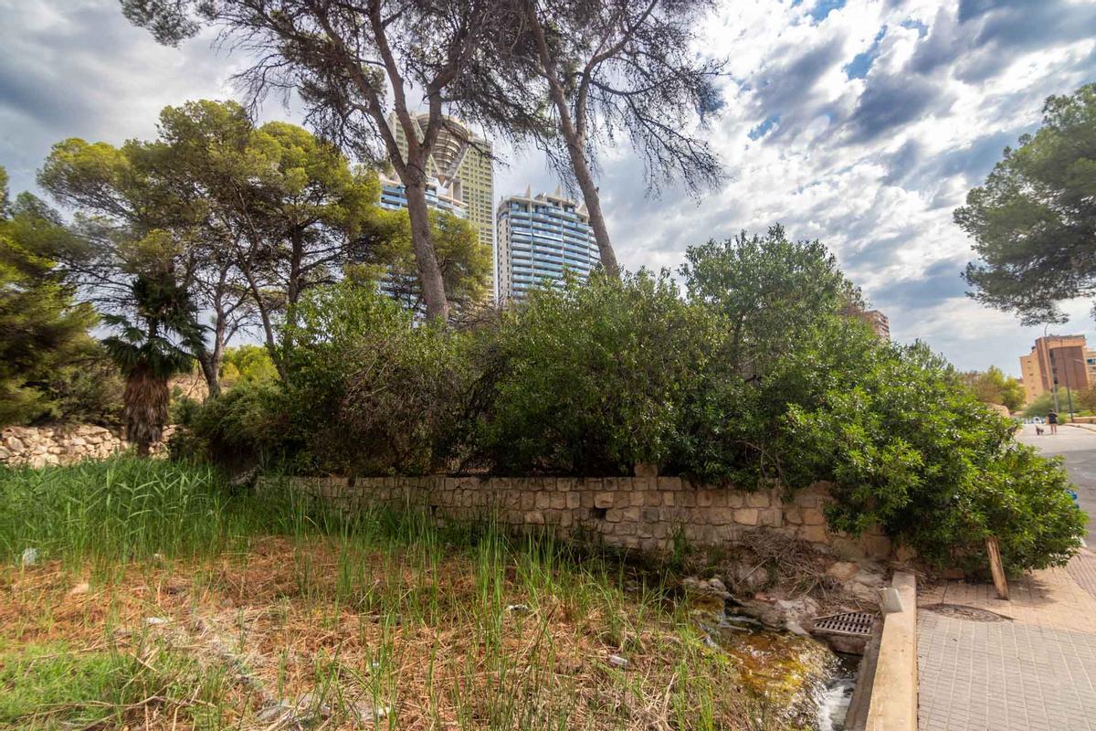 Uno de los tramos de barranco en la zona del Murtal de Benidorm.