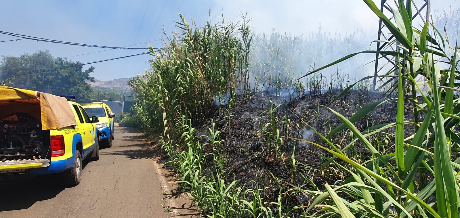 Conato de incendio en Pino Santo (27/06/21)