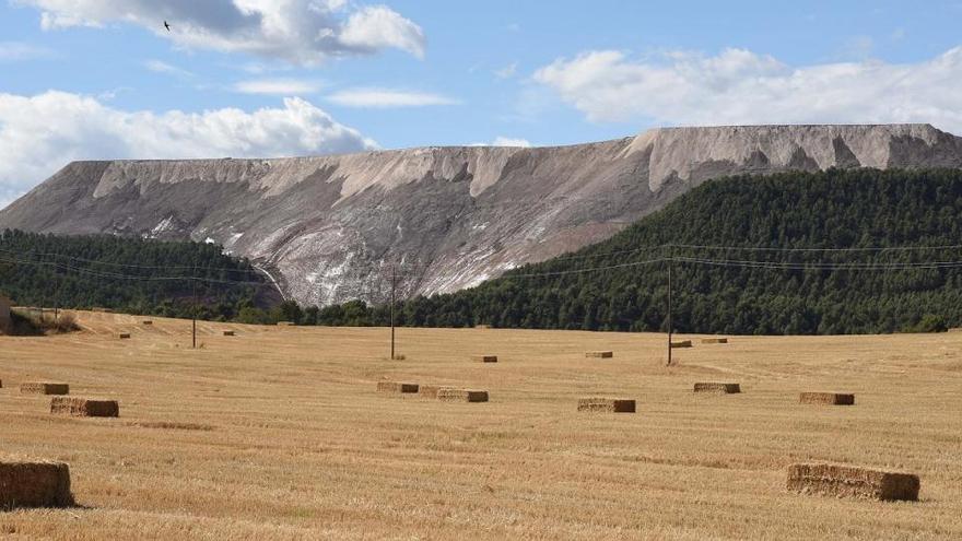 Vessant del runam del Cogulló on es proposa fer el parc solar fotovoltaic