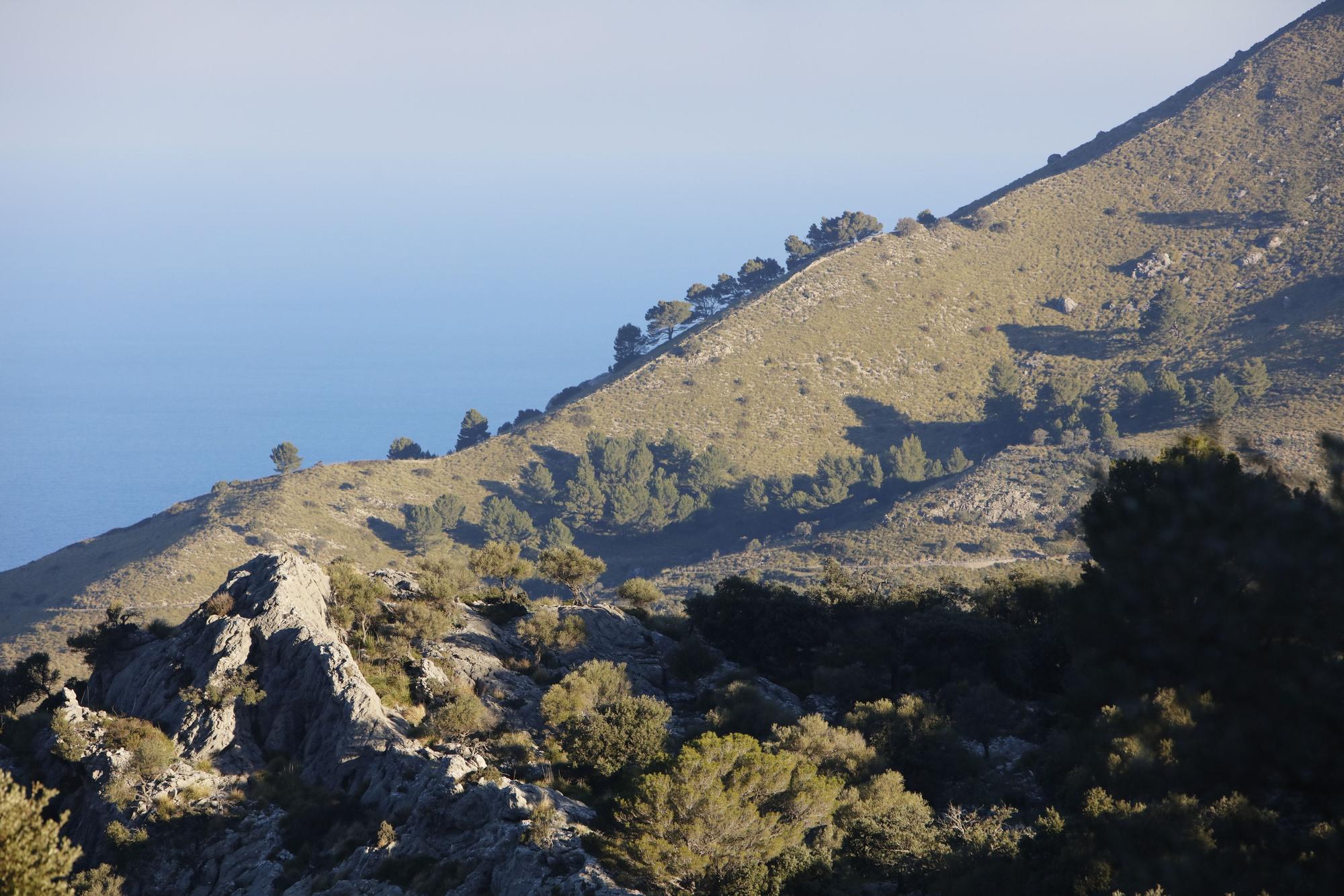 Die sonnige Tramuntana macht Lust auf Mallorca-Urlaub im Winter